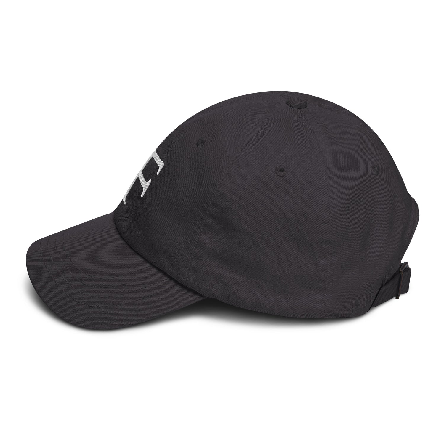 RawFuture Dad hat